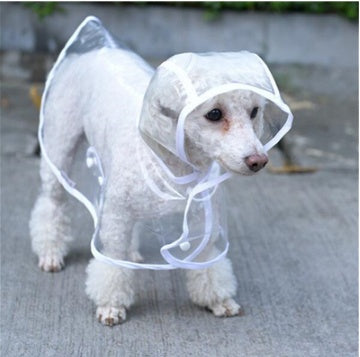 Clear Raincoat