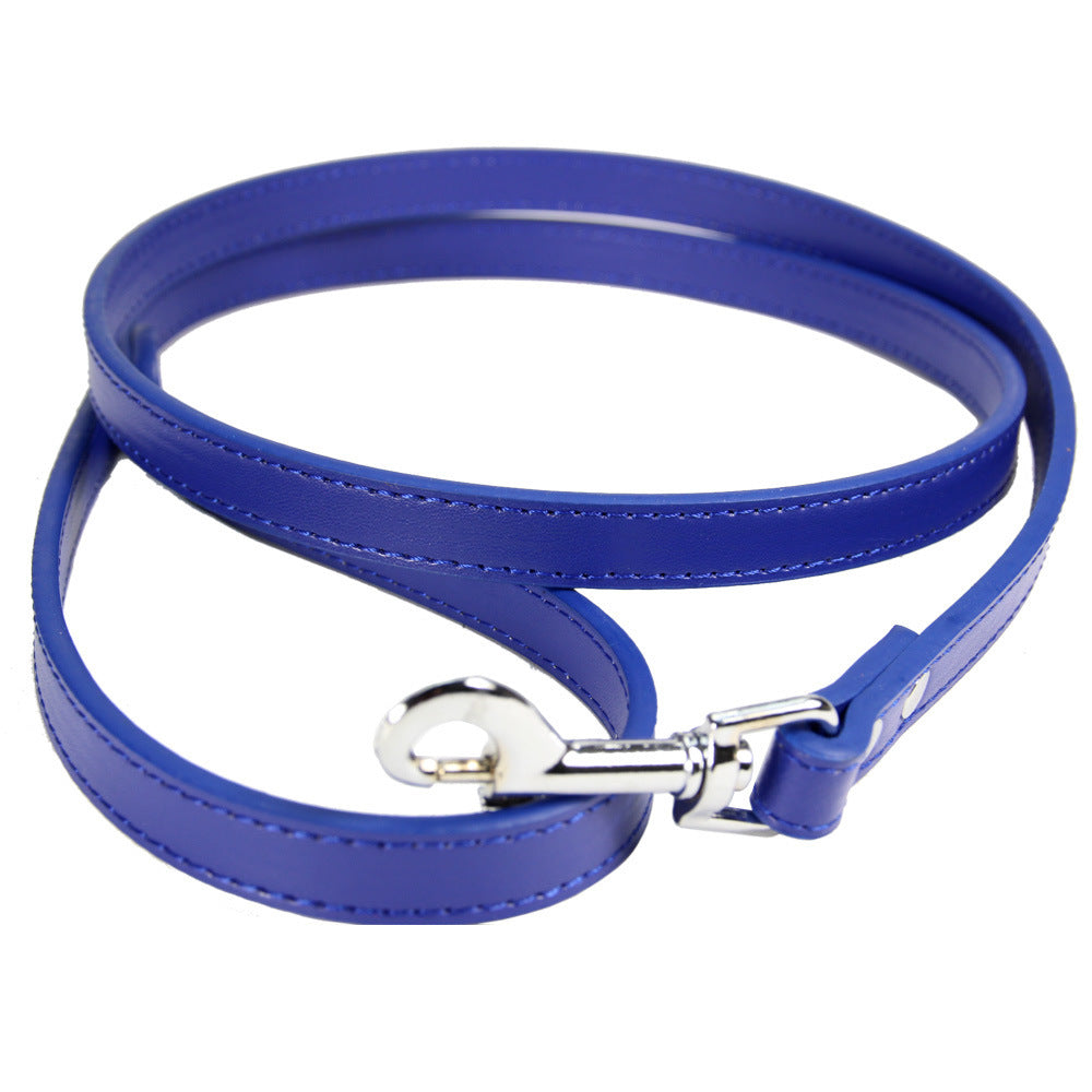 Leather Leash