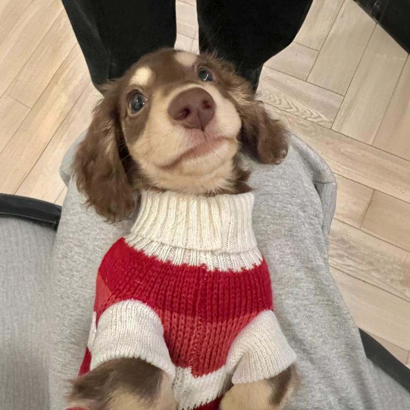 Chunky Knit Sweater