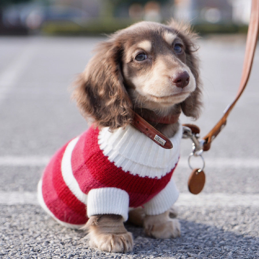 Chunky Knit Sweater
