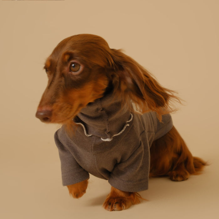 The Pullover Turtleneck