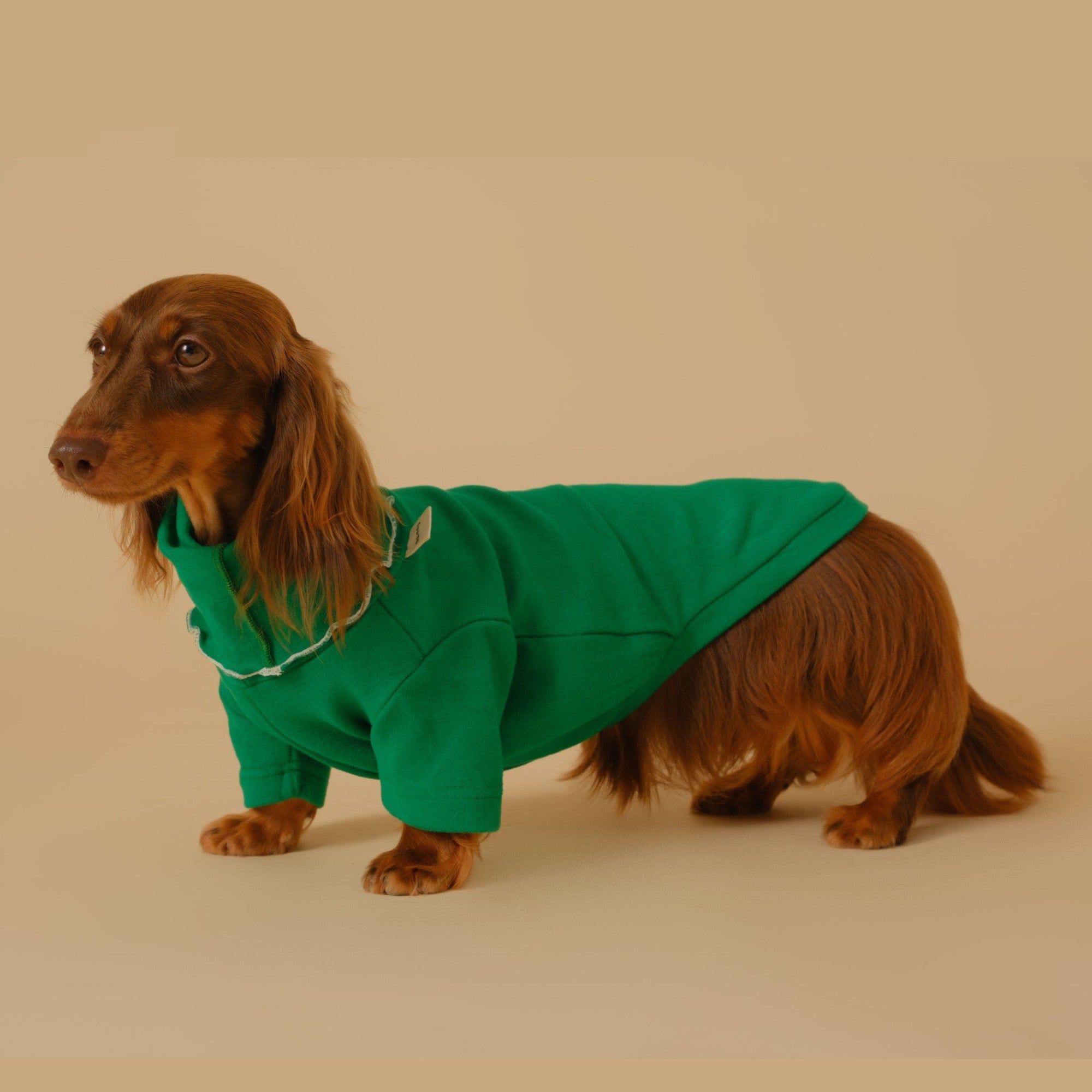 The Pullover Turtleneck