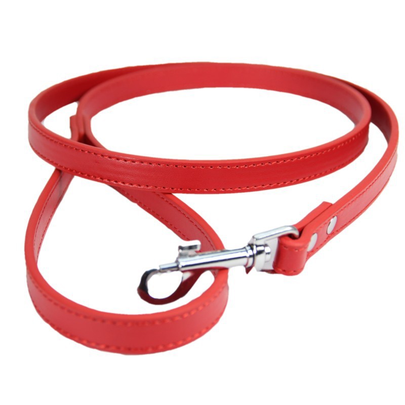 Leather Leash