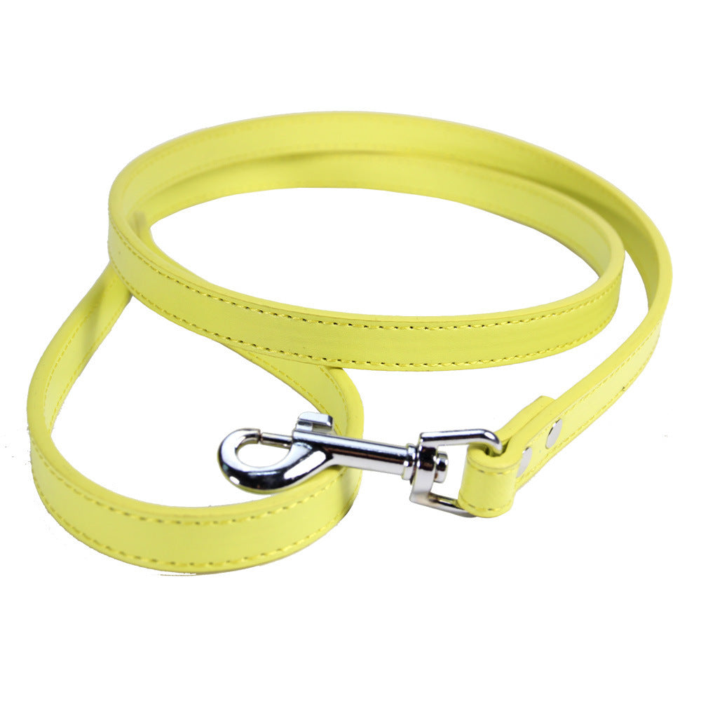 Leather Leash