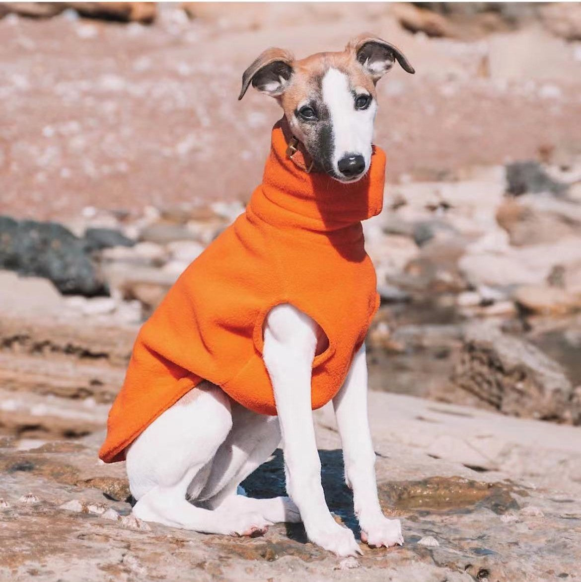Fleece Turtleneck